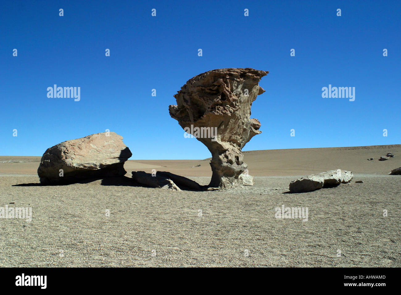 Famous landmark in the altiplano Bolivia Wind erosion has caused this rock formation Stock Photo