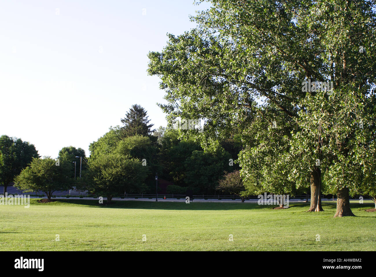 Grass and trees hi-res stock photography and images - Alamy