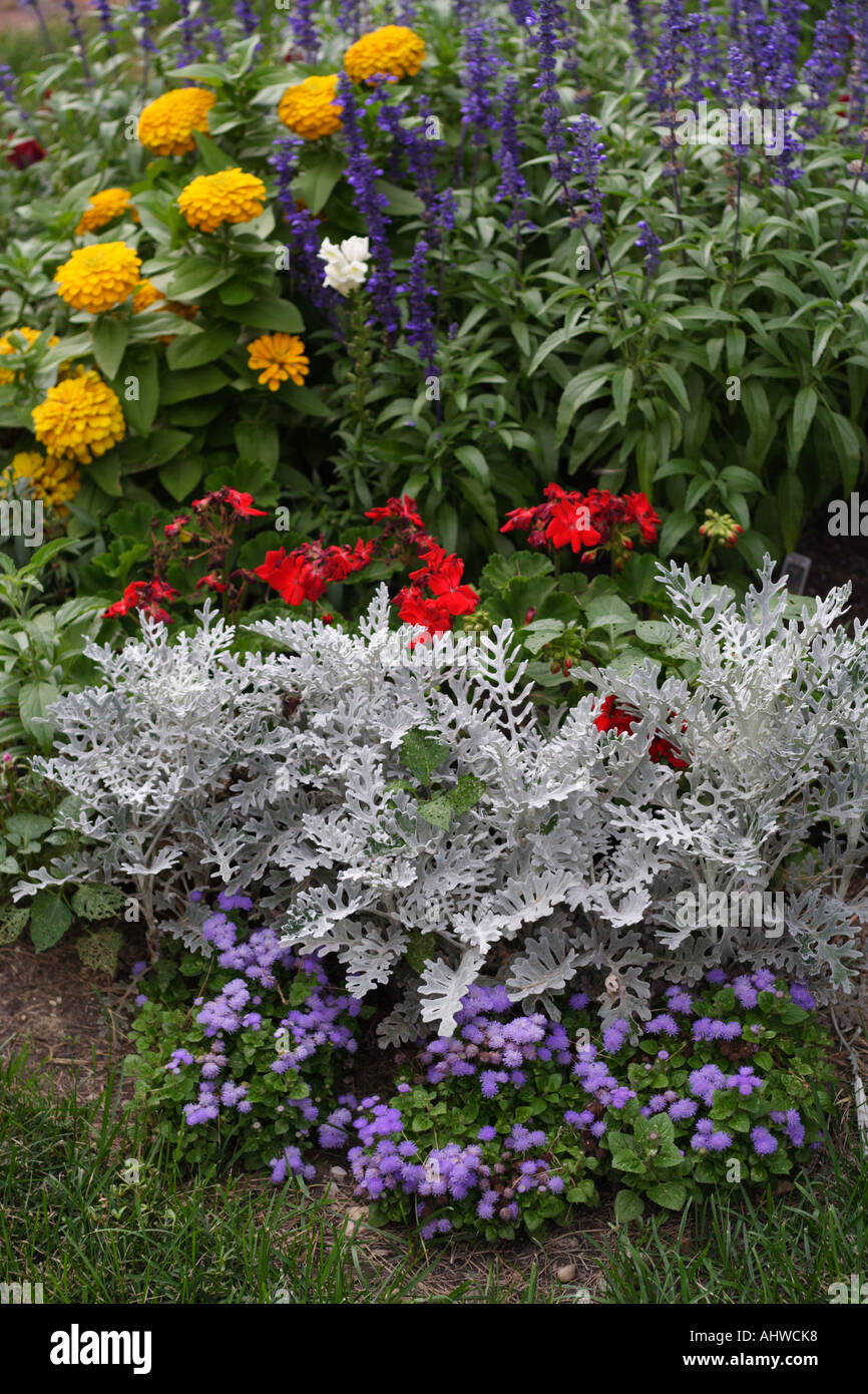 Flower garden. Stock Photo