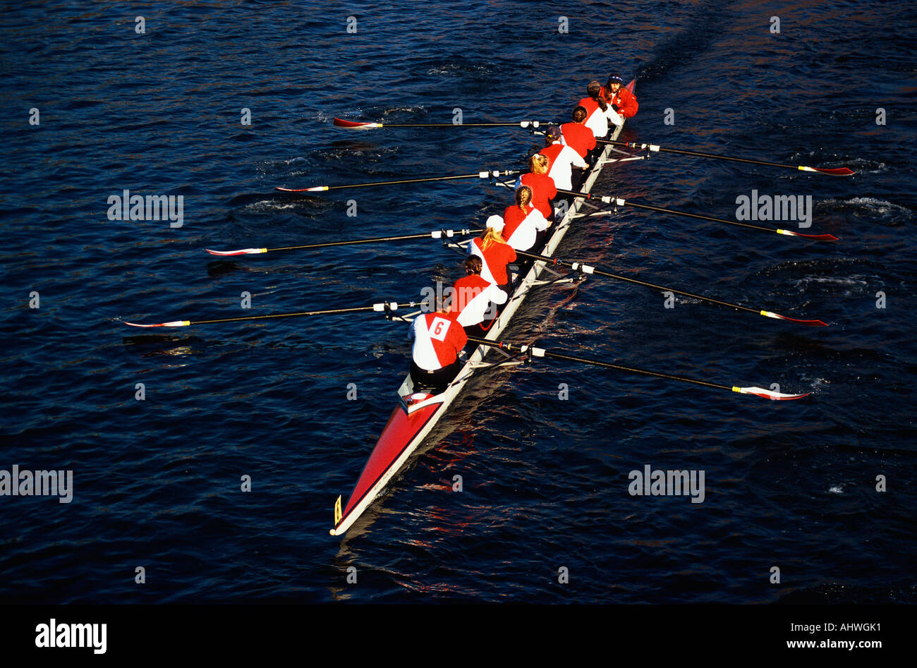 This is the Head of the Charles Regatta It is the famous autumn rowing