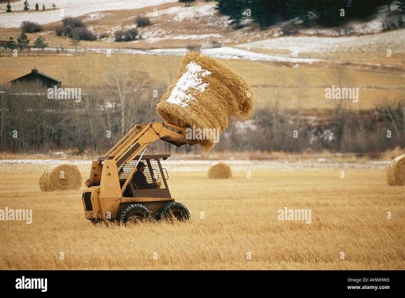 Skip loader moving hay bale Stock Photo