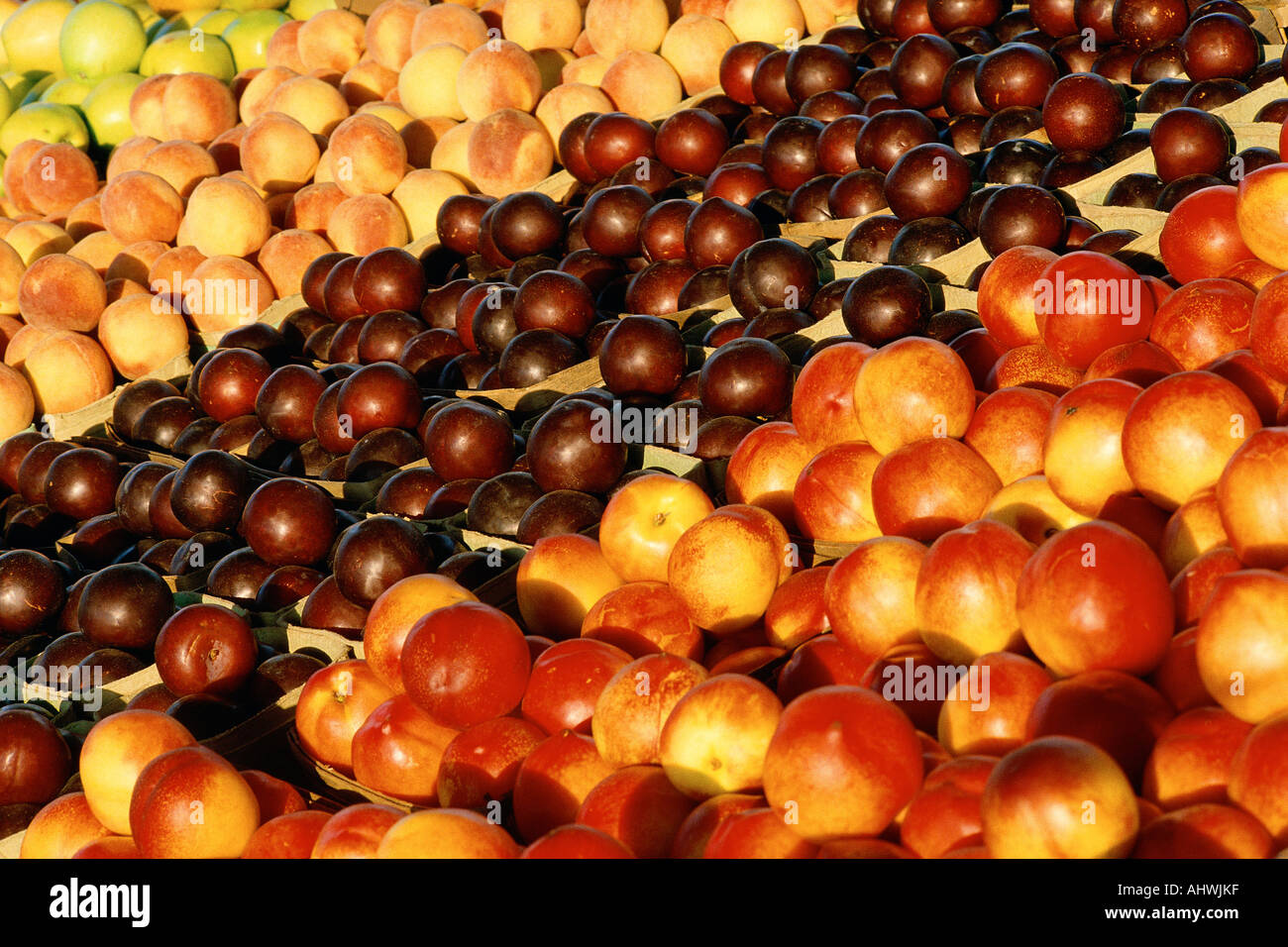 Fresh fruits on display Stock Photo