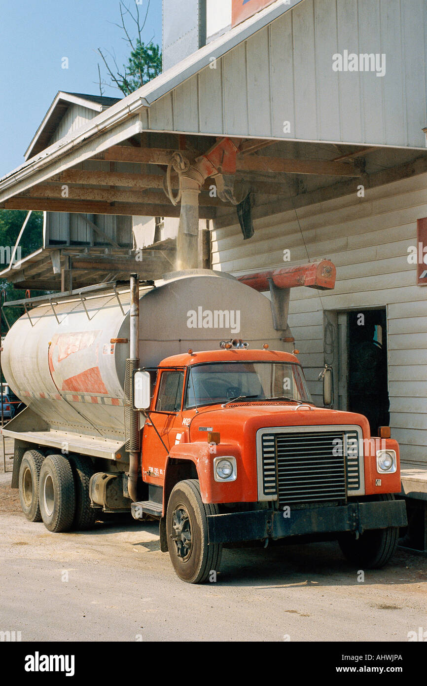 Truck being loaded with grain Stock Photo