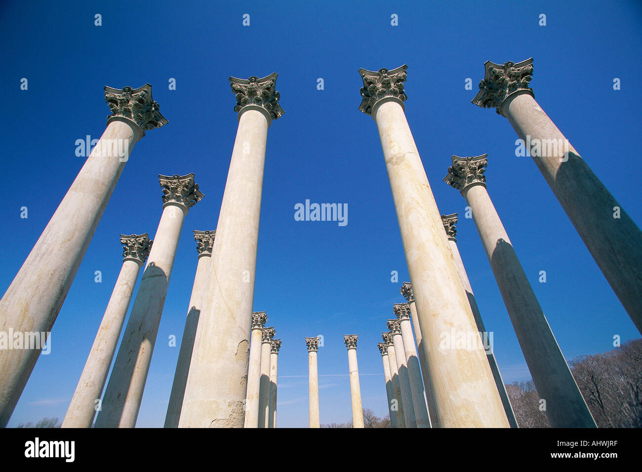 View of Corinthian columns in National Arboretum Stock Photo