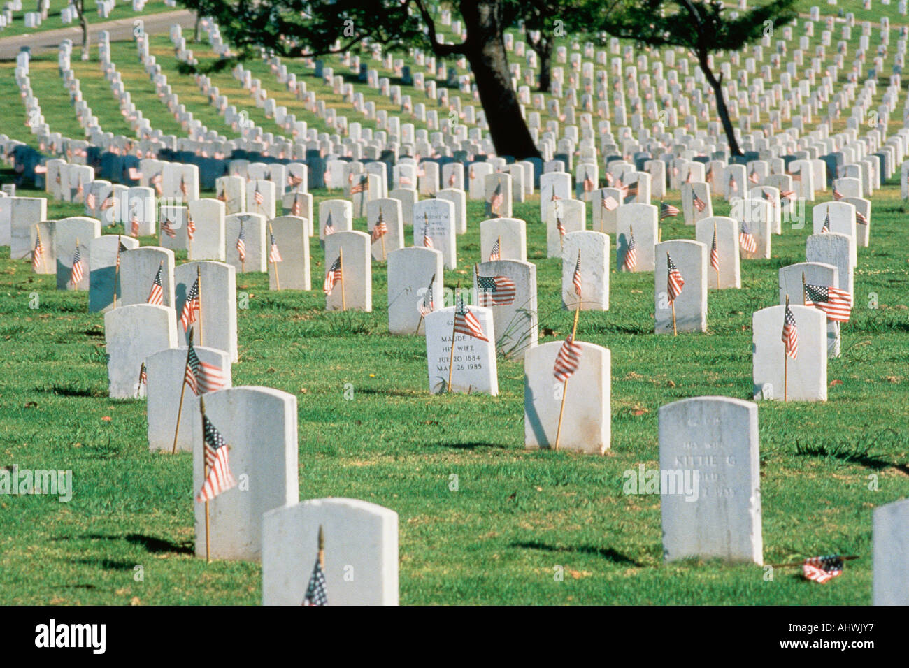 Tombstones in Arlington National Cemetery Stock Photo Alamy