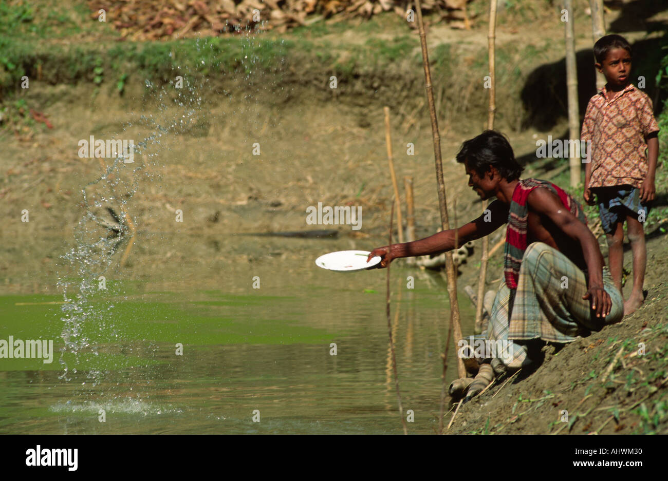 Feeding fish on a fish farm. Bangladesh Stock Photo