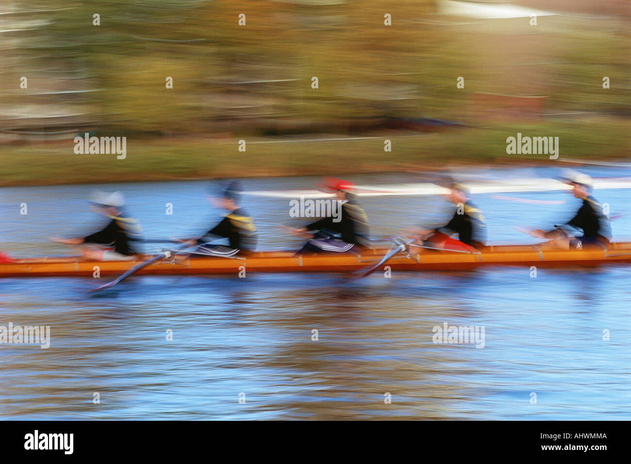 Crew rowing team Stock Photo Alamy