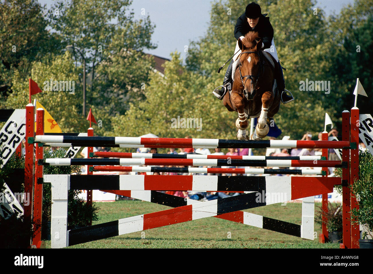 Horse and rider jumping over fence Stock Photo Alamy