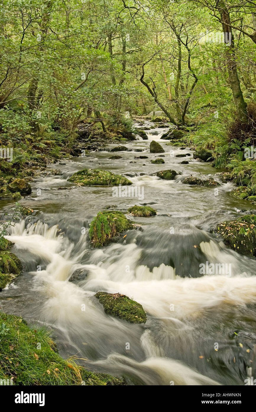 Dolgoch Falls in Snowdonia National Park Stock Photo Alamy