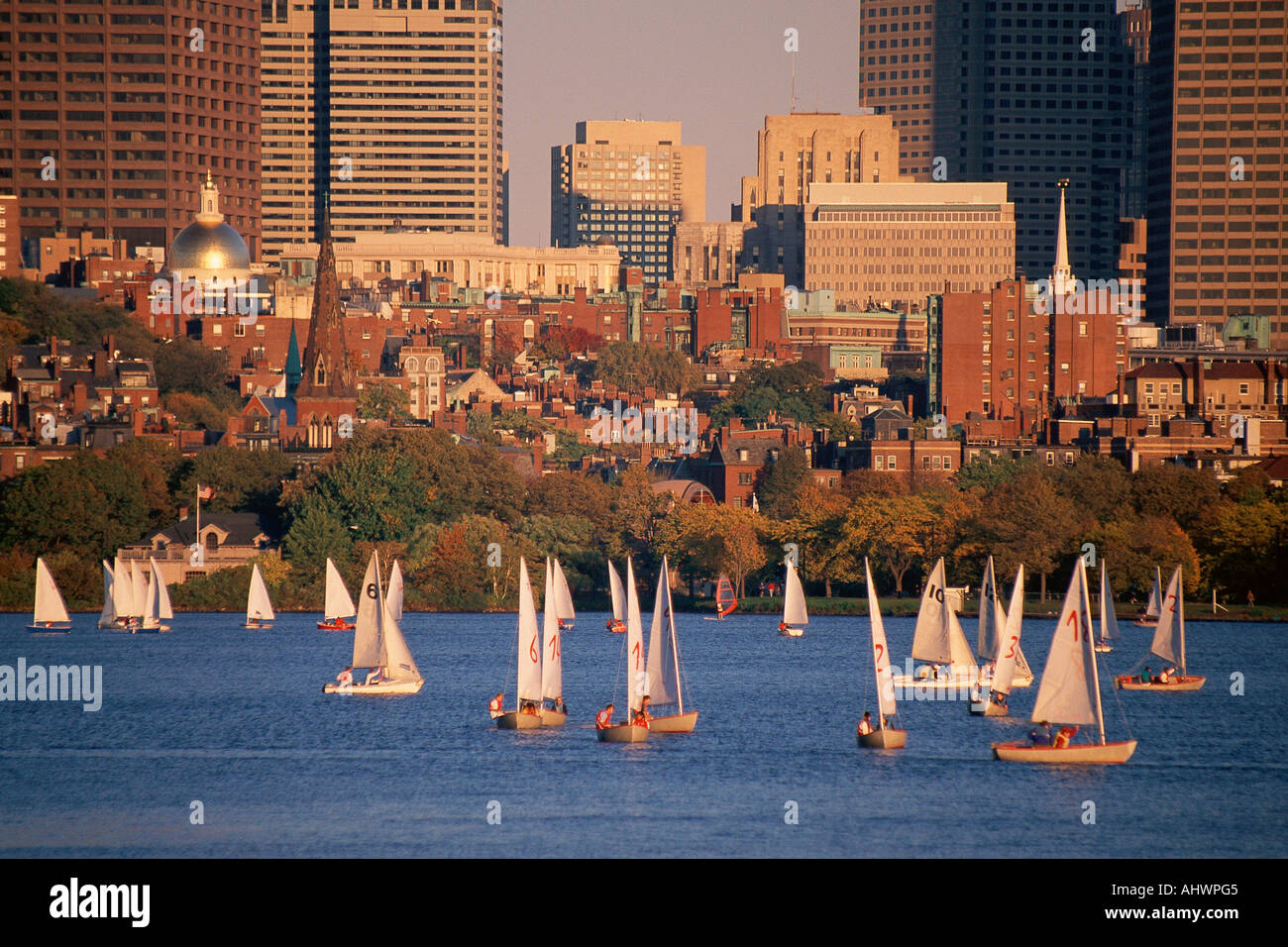 Sailing in Charles River Boston beyond Stock Photo Alamy