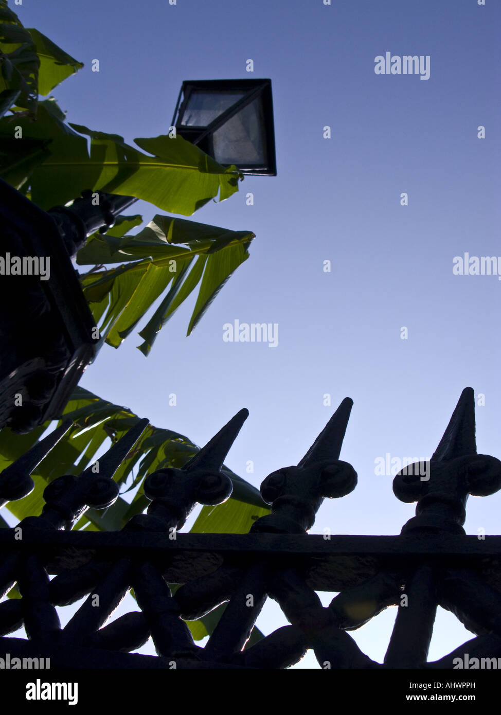 Iron fence Jackson Square in New Orleans Louisiana USA French Quarter