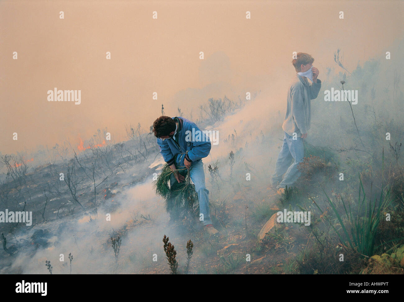 Two 2 young white men in blue uniforms fighting a bush fire in the Western Cape South Africa Stock Photo