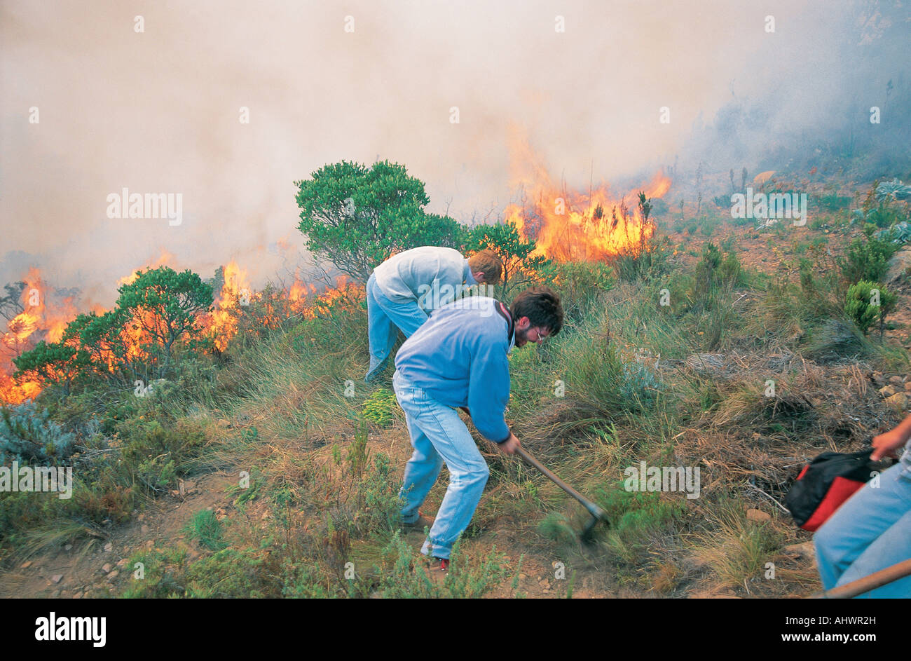 Two 2 young white men in blue uniforms fighting a bush fire in the Western Cape South Africa Stock Photo