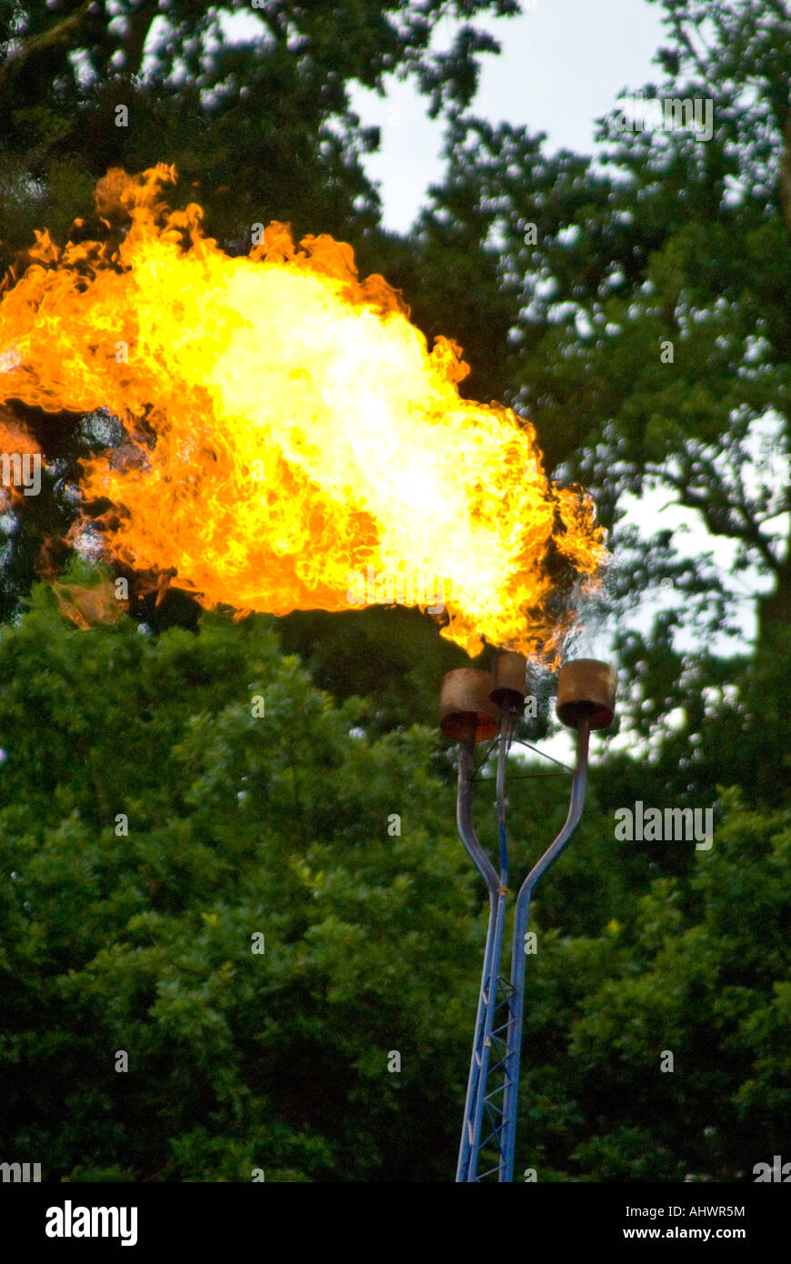 Fire in the forest Stock Photo - Alamy