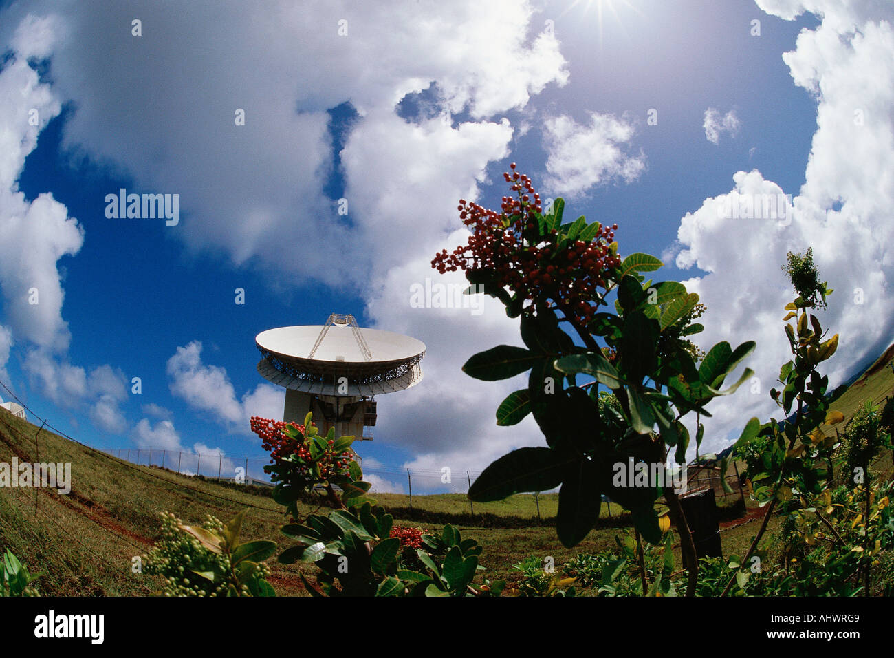 Warped view of array satellite dish Stock Photo