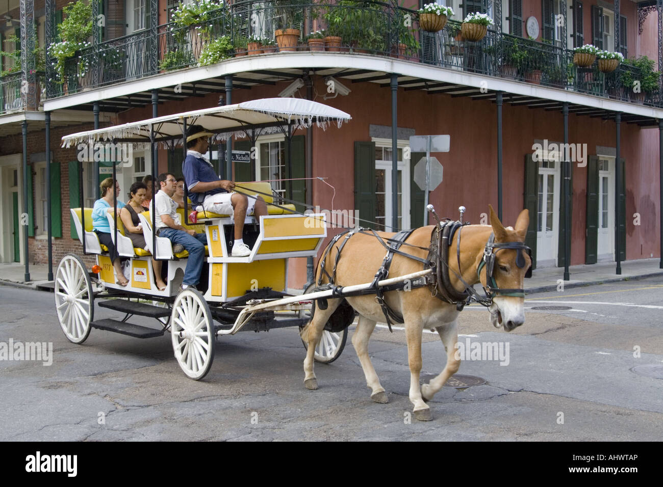 carriage ride french quarter