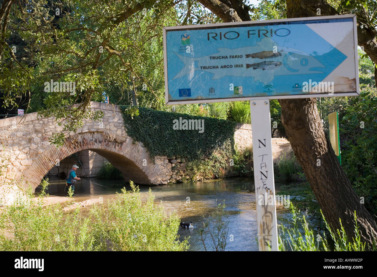 Riofrio Granada Province Spain Medieval bridge over river and trout fisherman Stock Photo
