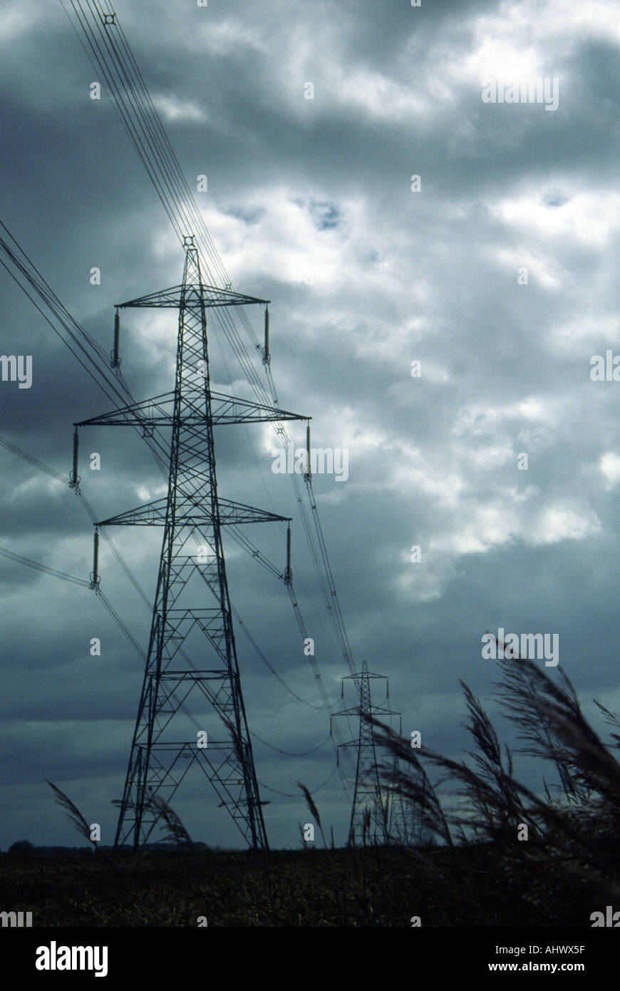 Pylons Across the Fens Stock Photo