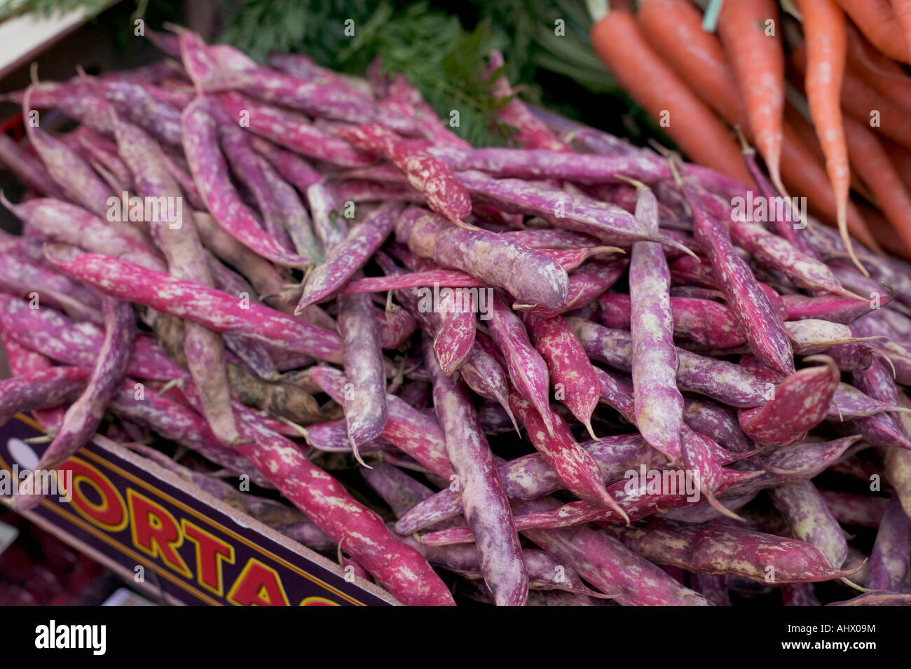 Borlotti (cranberry) beans in pods. Stock Photo