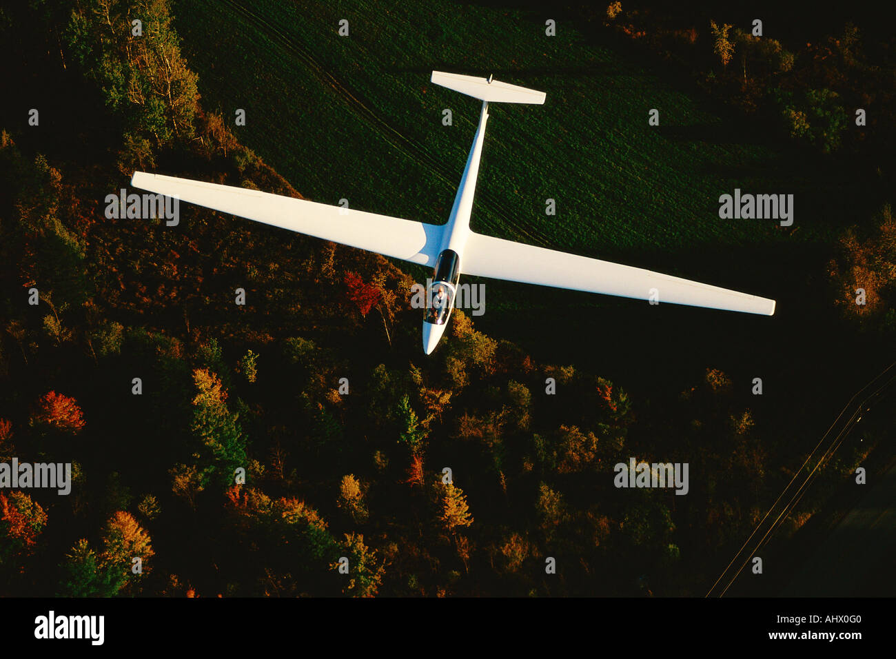 Glider viewed from above Stock Photo