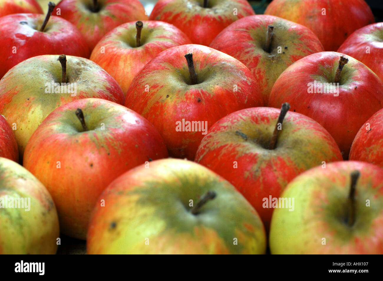 Apple English apples Stock Photo