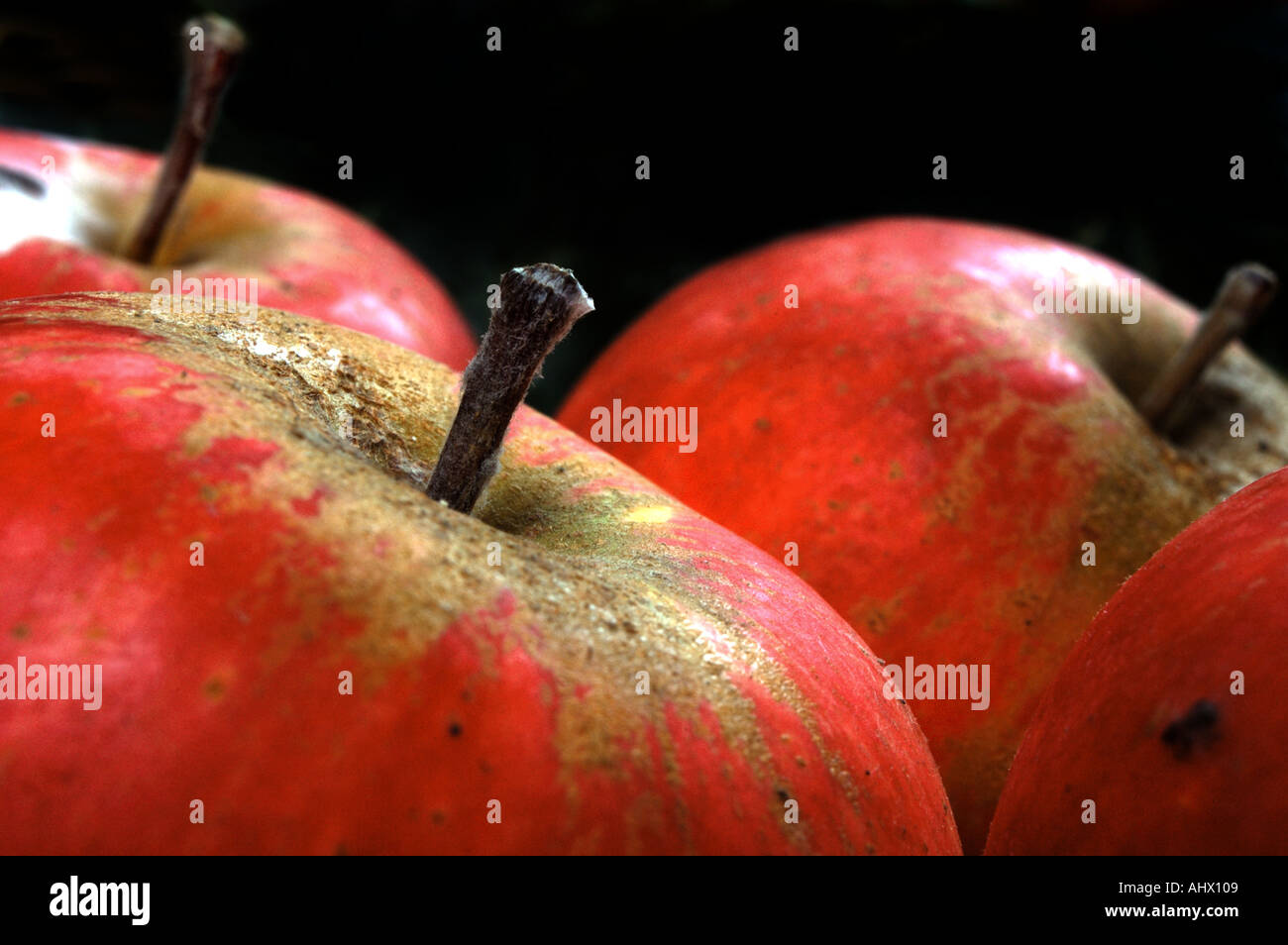 apple-english-apples-stock-photo-alamy