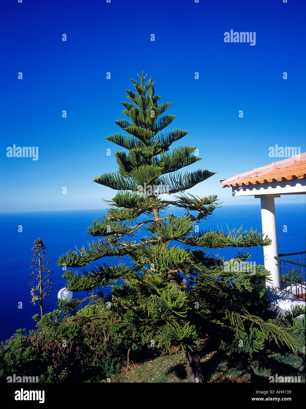 bungalow high above the ocean and view to the horizon of the Atlantic Ocean at Prazeres Madeira Portugal . Photo by Willy Matheisl Stock Photo