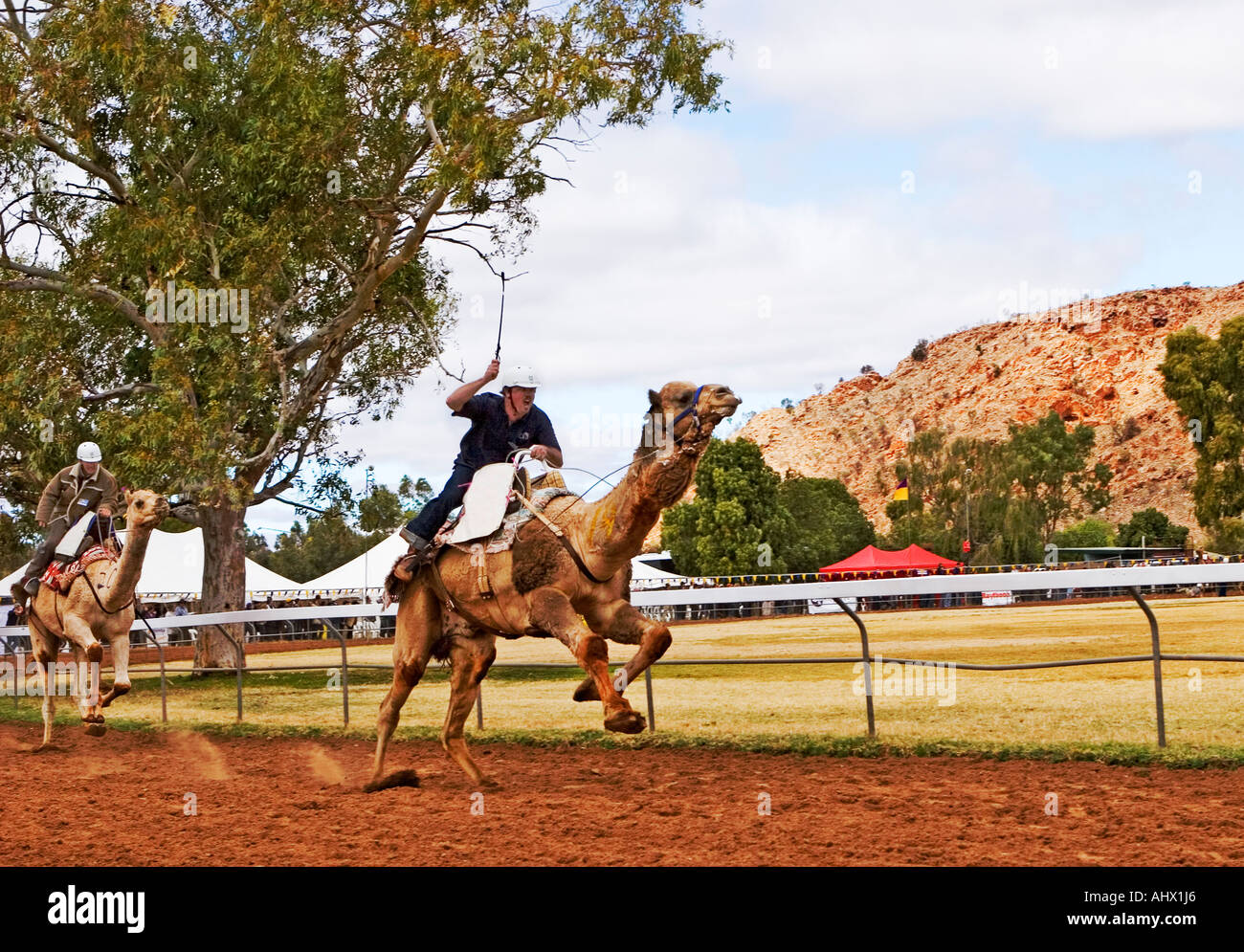 Image of a man racing a camel during the 2006 Camel Cup Race in Alice Springs Australia Stock Photo
