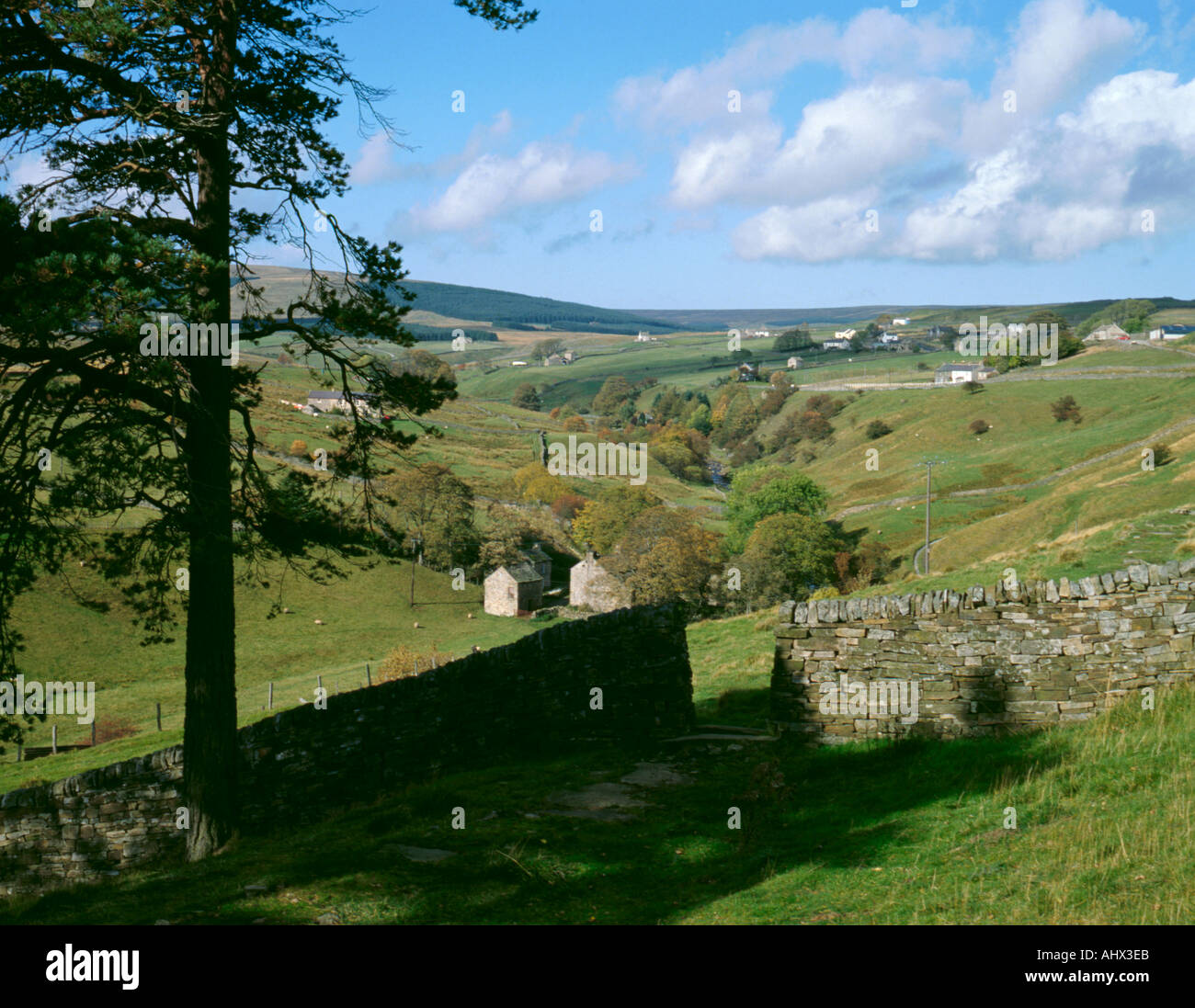 Cowshill, upper Weardale, County Durham, England, UK Stock Photo Alamy
