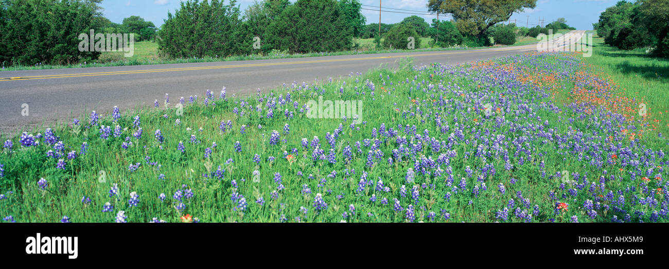 Country road in hi-res stock photography and images - Alamy