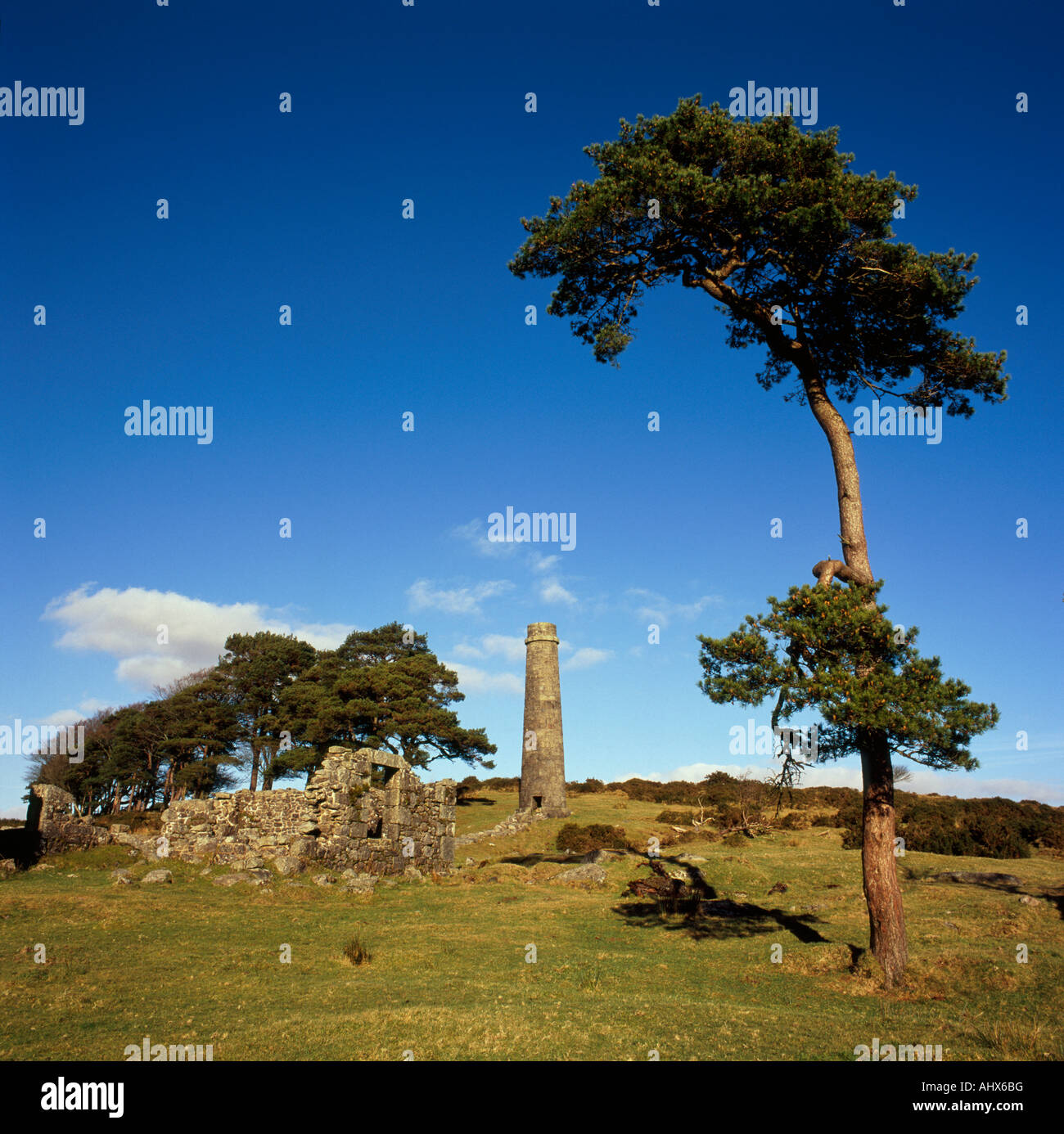 Chimney and trees at Powder Mills, Dartmoor, UK Stock Photo Alamy