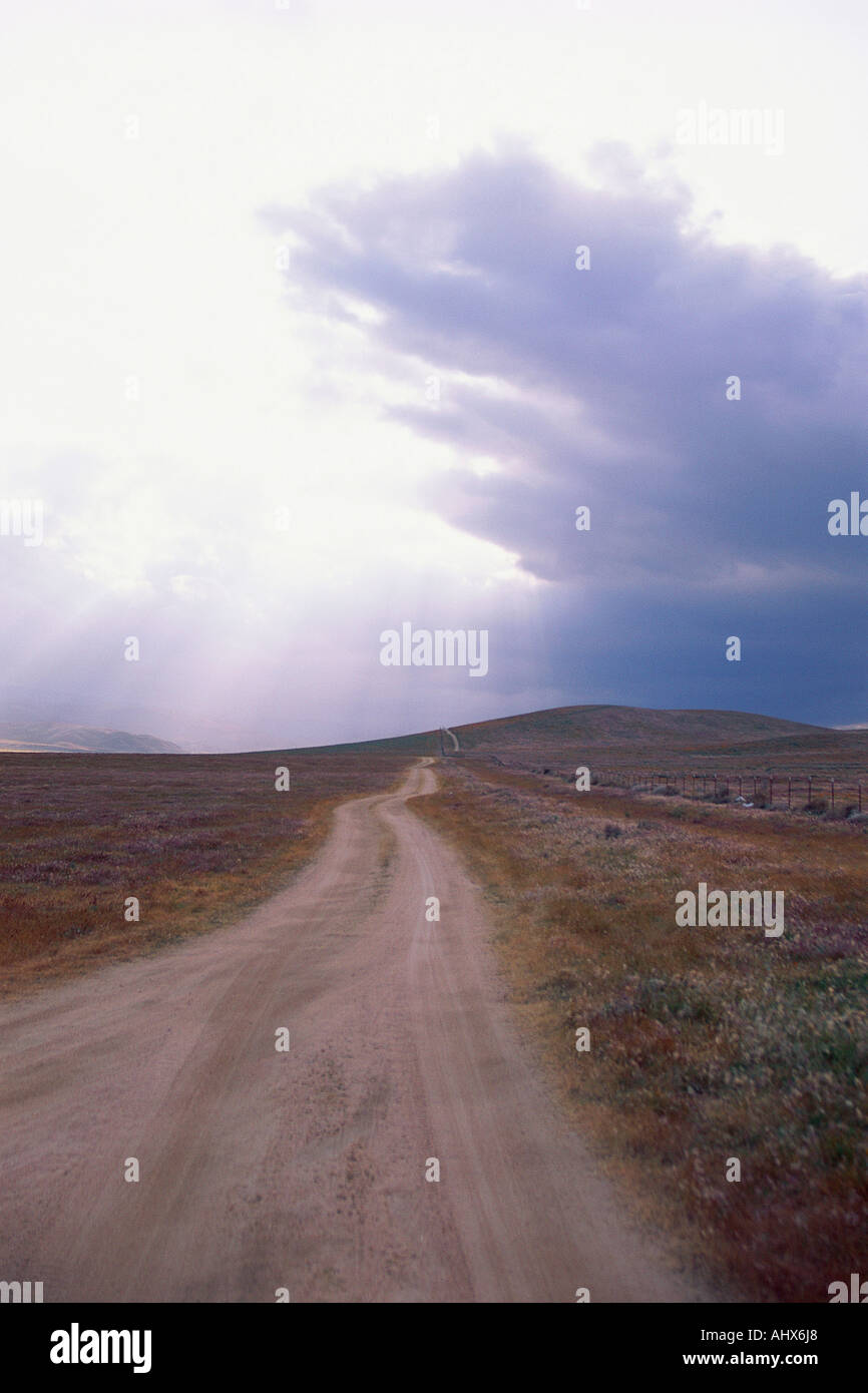 Dark road country hi-res stock photography and images - Alamy