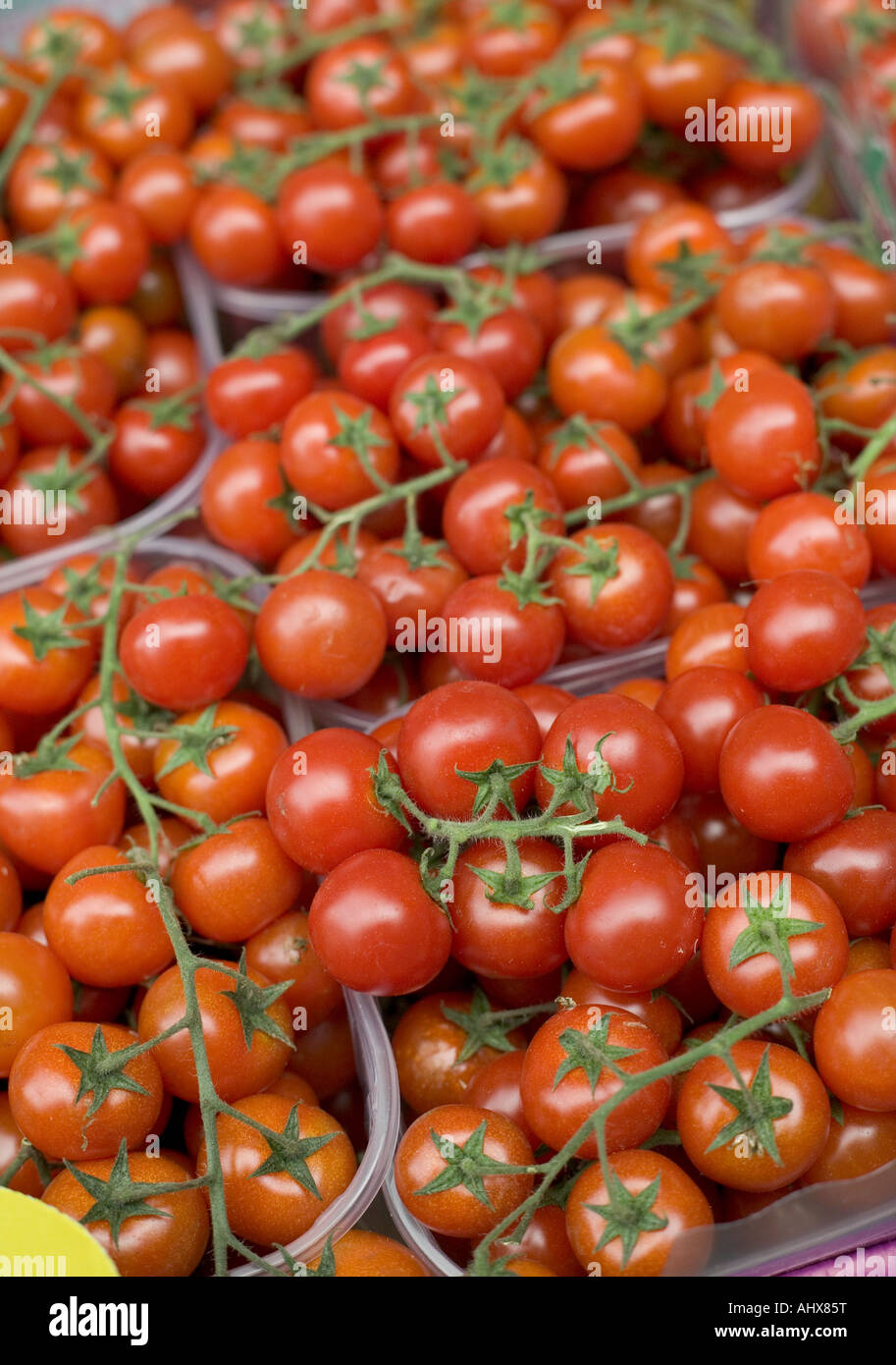close up of a bowl of tomatoes at London Borough market Stock Photo