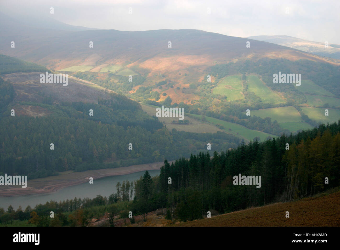 talybont low reservoir brecon beacons mid wales uk gb Stock Photo