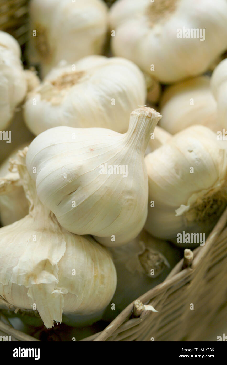 Garlic bulbs Organic Stock Photo Alamy
