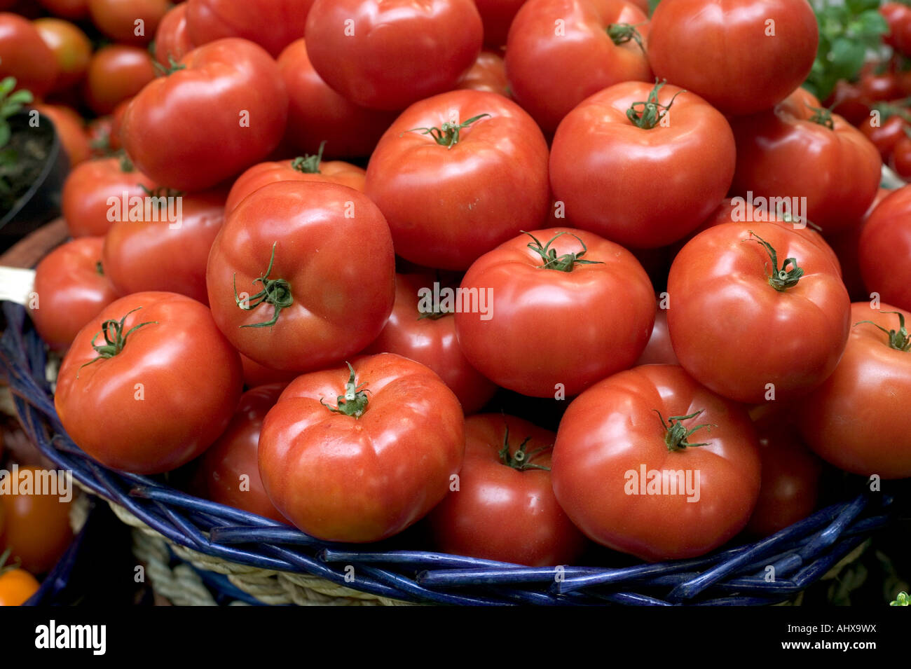 close up of a bowl of tomatoes at London Boroughmarket Stock Photo