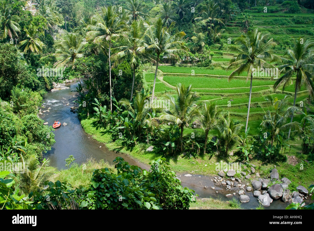Rafting Ayung River Gorge Rice Terraces Ubud Bali Indonesia Stock Photo ...