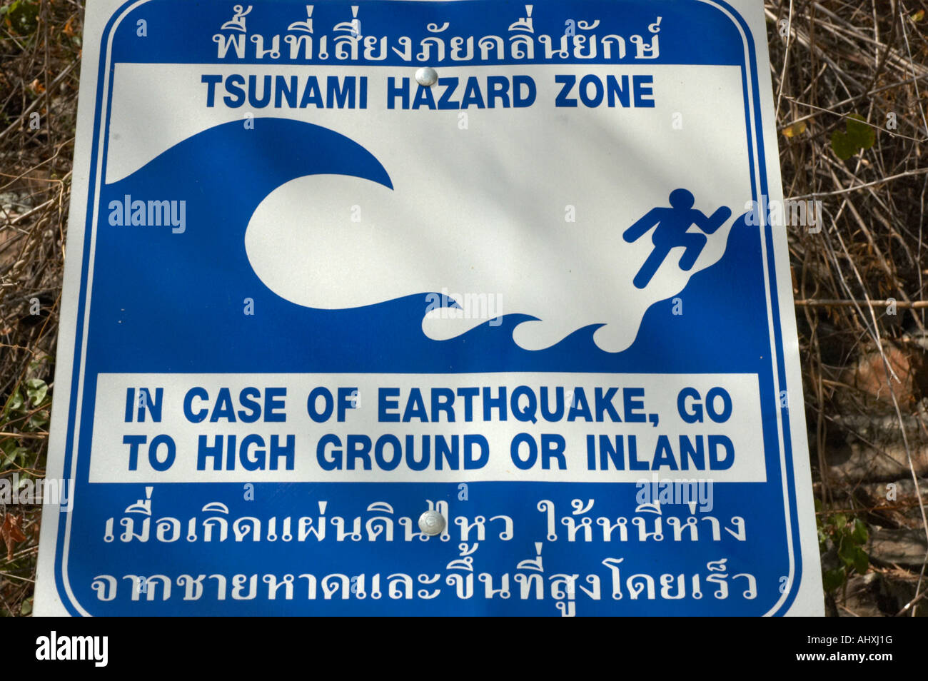 Tsunami alert sign