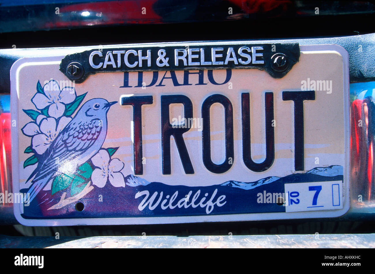 Vanity License Plate Idaho Stock Photo Alamy