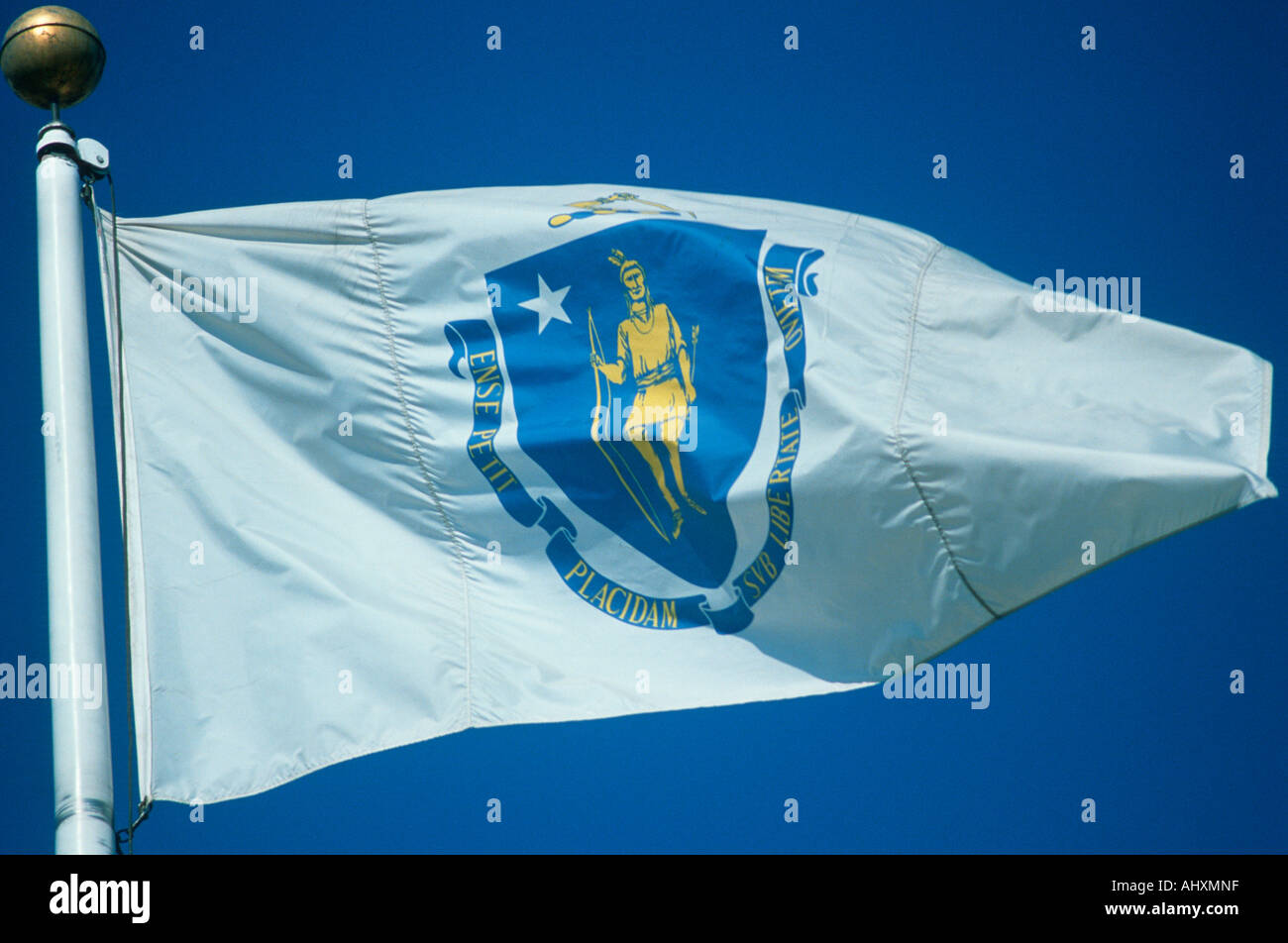 State Flag of Massachusetts Stock Photo Alamy