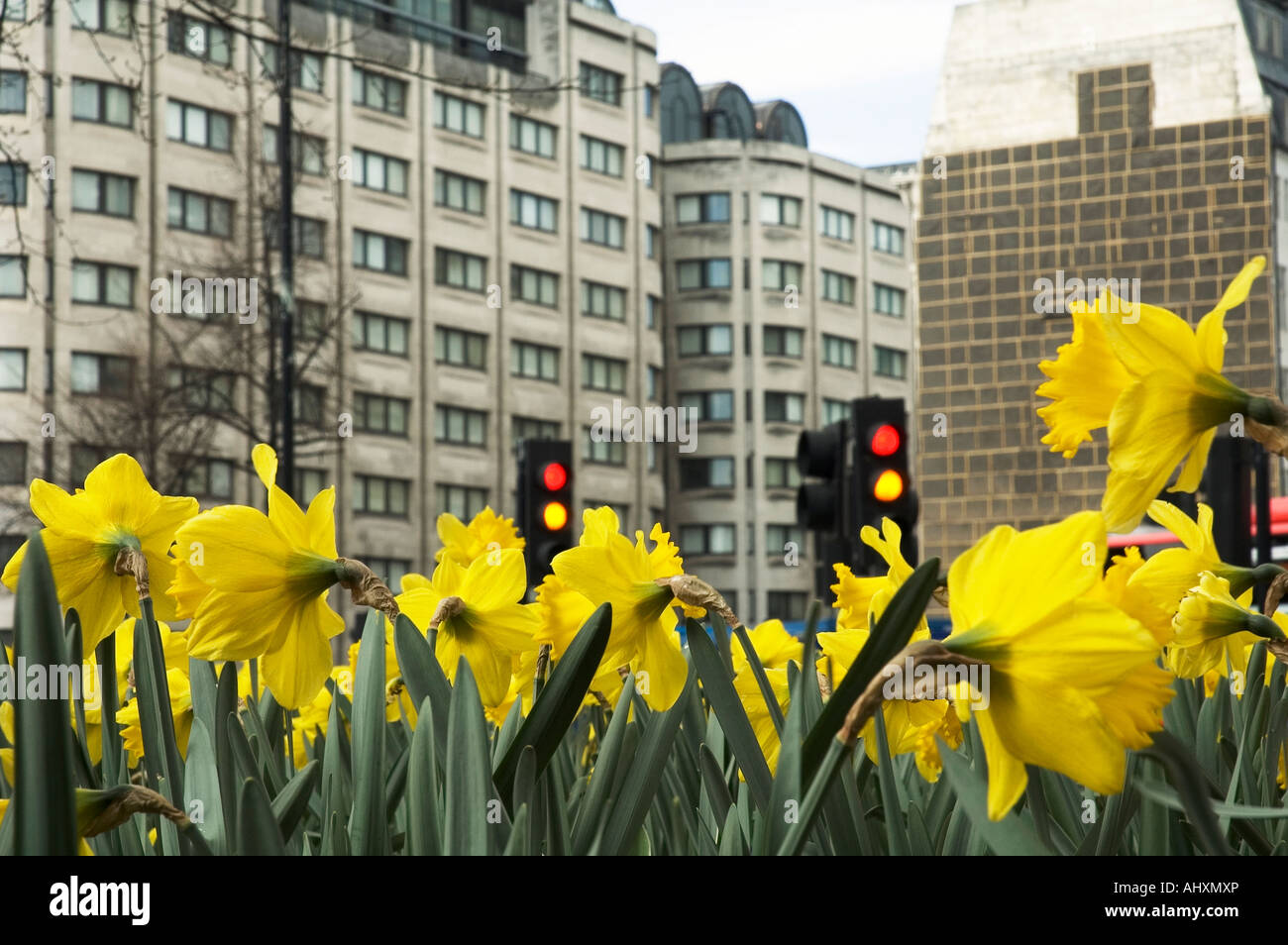 Traffic lights london close up hi-res stock photography and images - Alamy