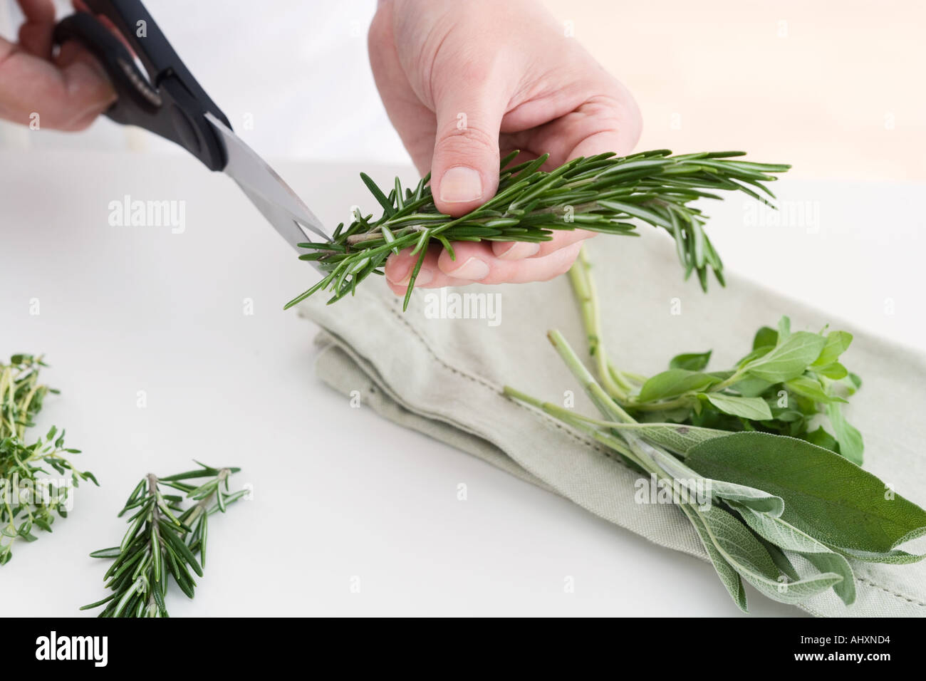 Hands cutting culinary herbs Stock Photo