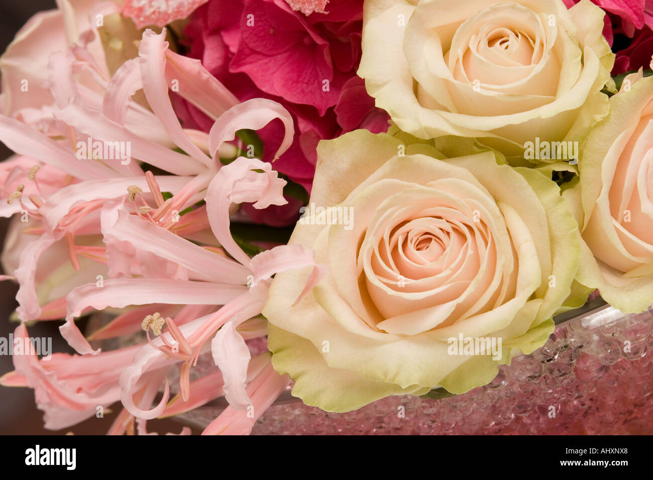 weddings floral arrangement of roses hydrangea and nerine lilly Stock Photo
