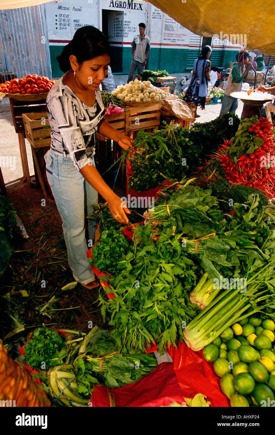Mexican fruit and vegetable vendor, Saturday Market, Mercado Abastos