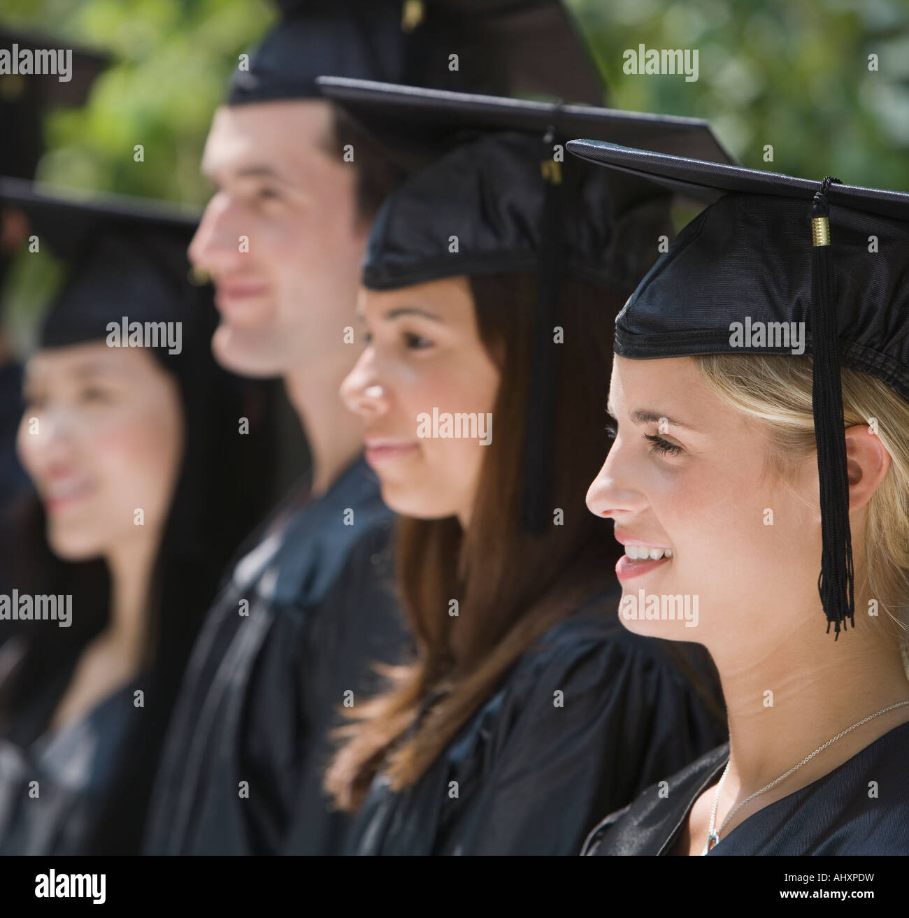 Male college graduate holding diploma Stock Photo - Alamy