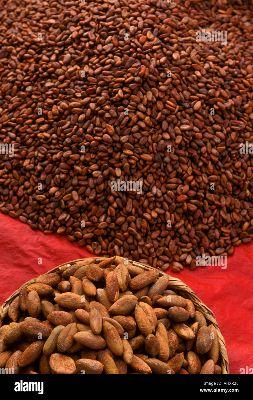 cacao beans, market, village, Tlacolula de Matamoros, Tlacolula, Oaxaca State, Mexico Stock Photo