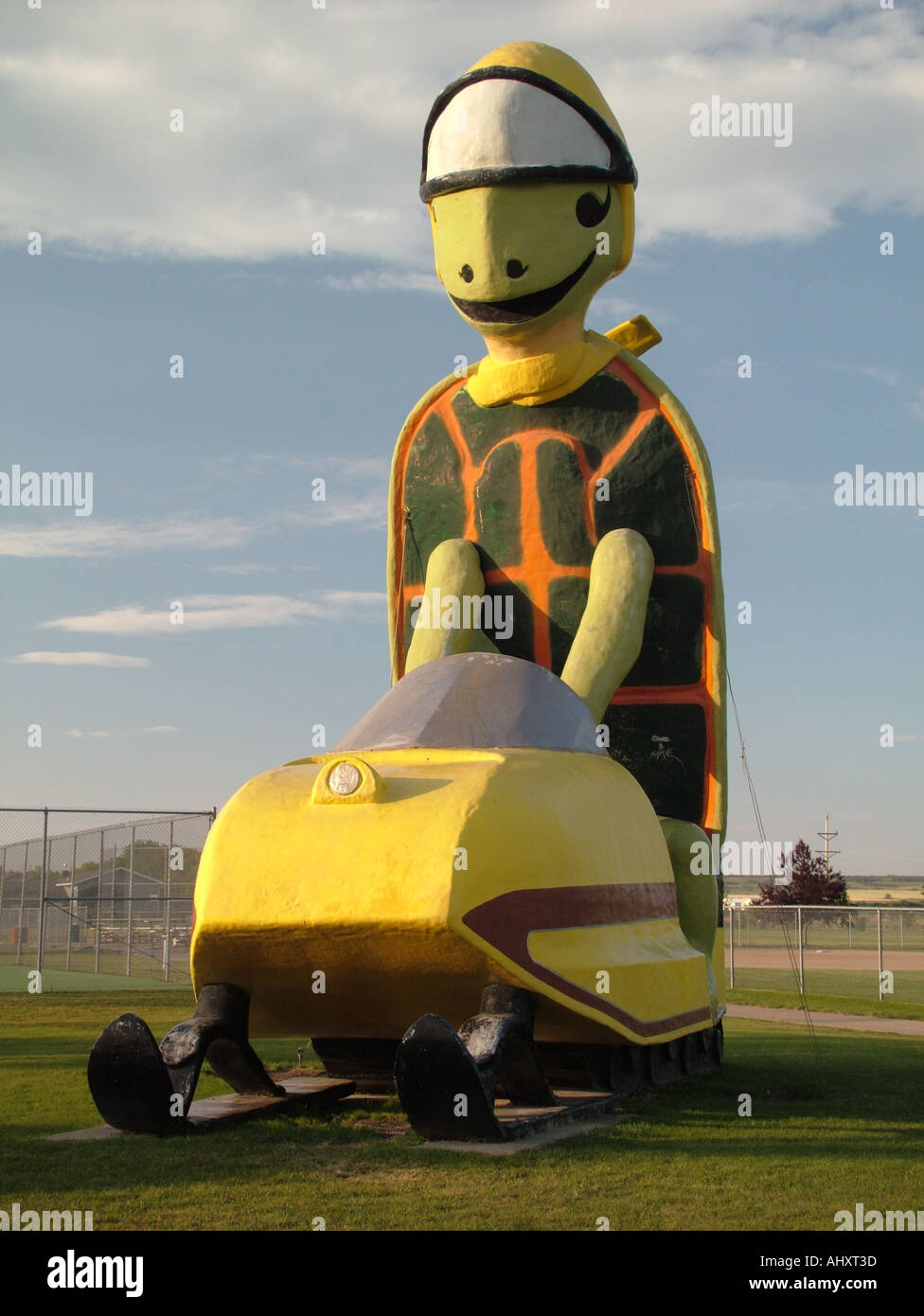 Bottineau tommy the turtle; hires stock photography and images Alamy