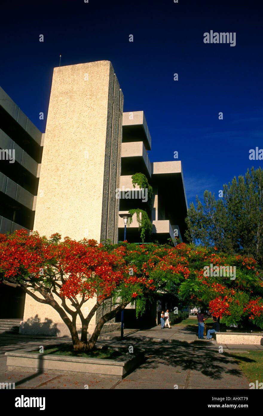 Hispanic students, college students, on campus, campus, University of