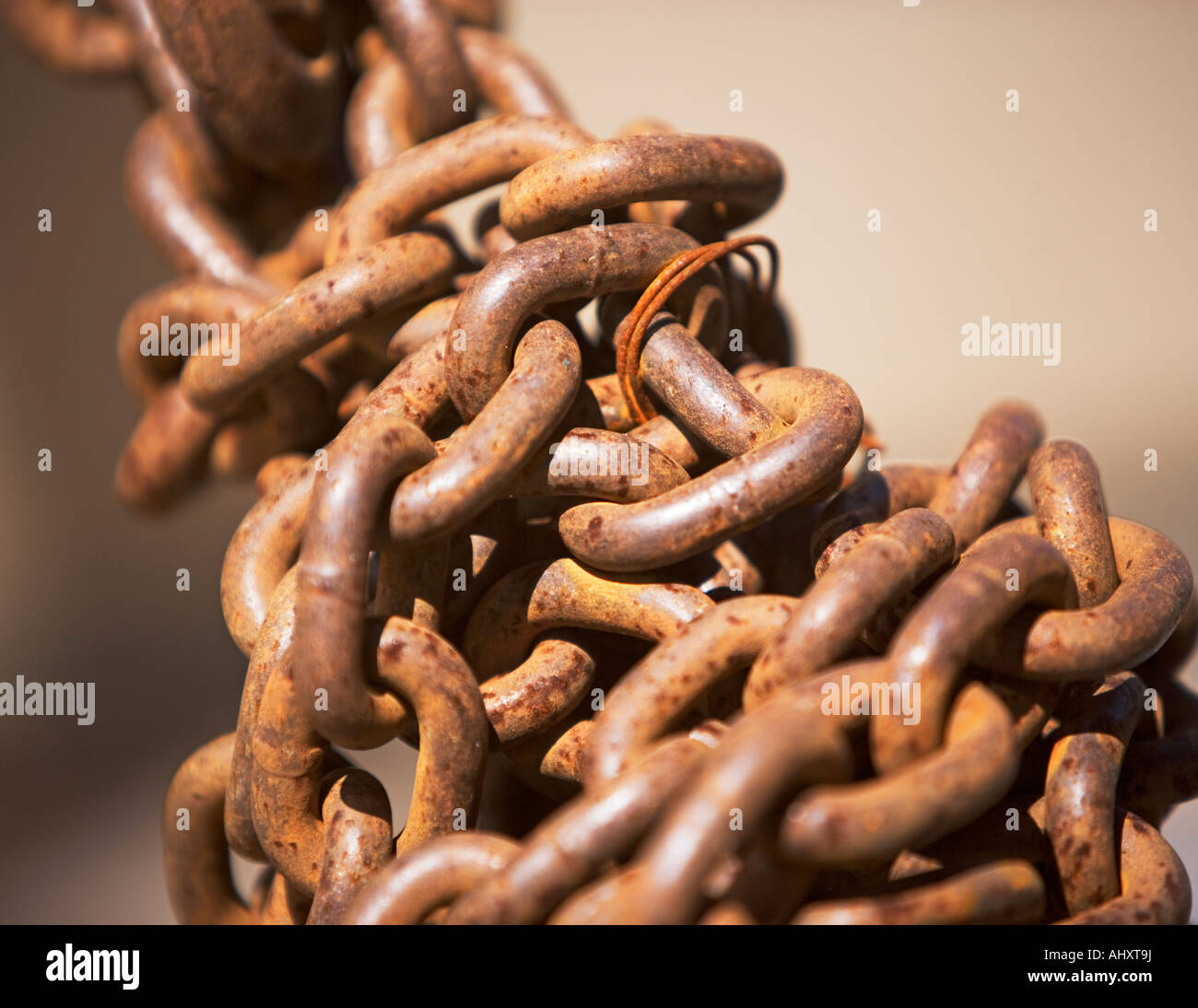 Goure hi-res stock photography and images - Alamy