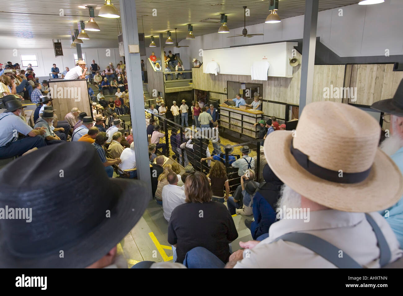 Shipshewana Indiana Horses are bought and sold at the weekly auction at